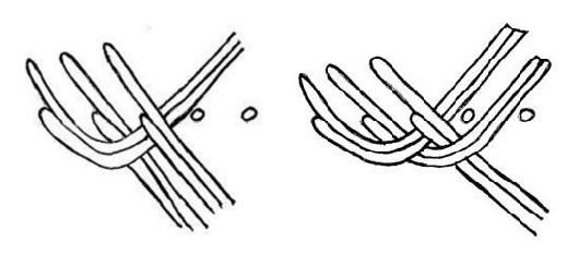 Lettireunan teko, mallikuvat